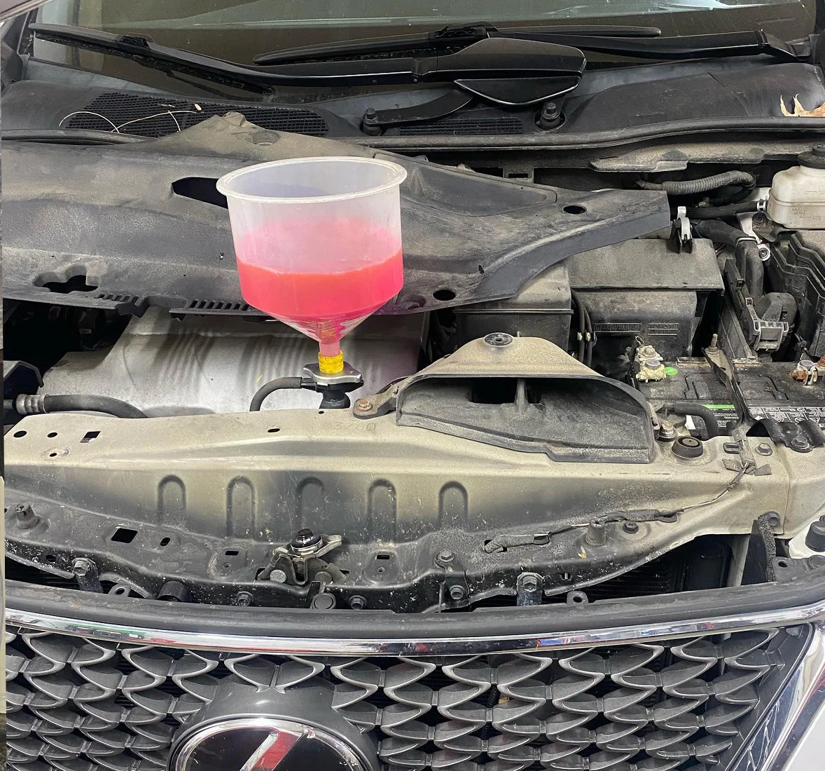 Image of a pink coolant being poured into a car part through a funnel. Concept image of preventative maintenance at Enright Automotive.